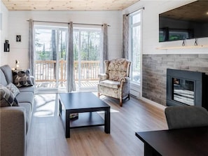Living room (gas fireplace and sofa-bed)