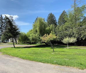 Centre lawn