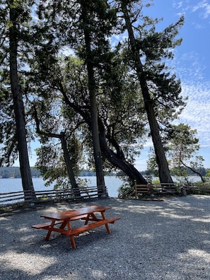 Waterfront - beach access