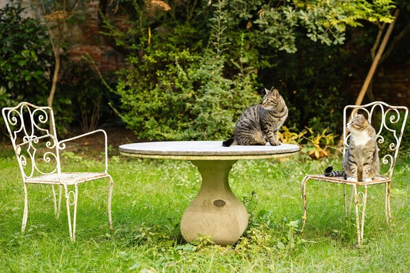 Jardin