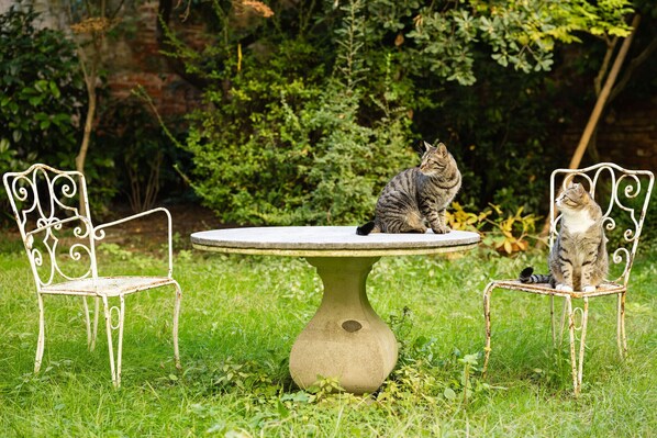 Jardines del alojamiento
