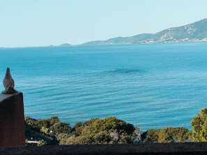 View from property