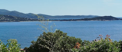 Sekalaista