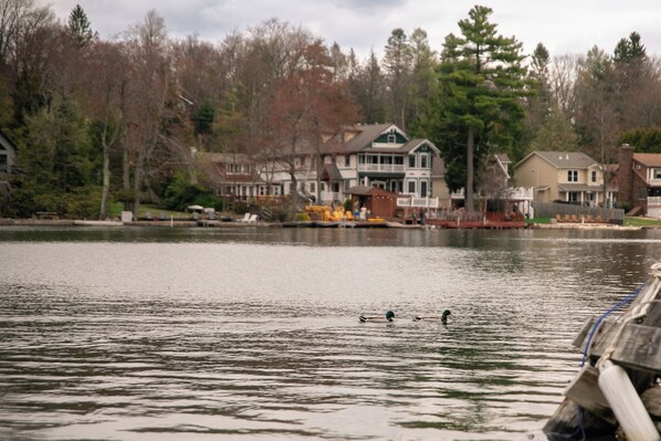 Lake life is just across the street! Enjoy easy access to the water—perfect for kayaking, paddleboarding, or simply relaxing by the dock and taking in serene lake views.