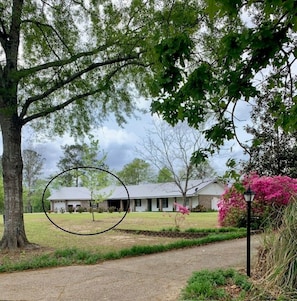 Guesthouse is encircled in black.