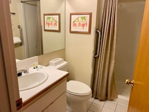 Main Bathroom