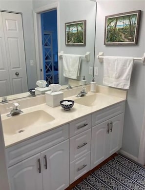 Master bathroom separate sink area