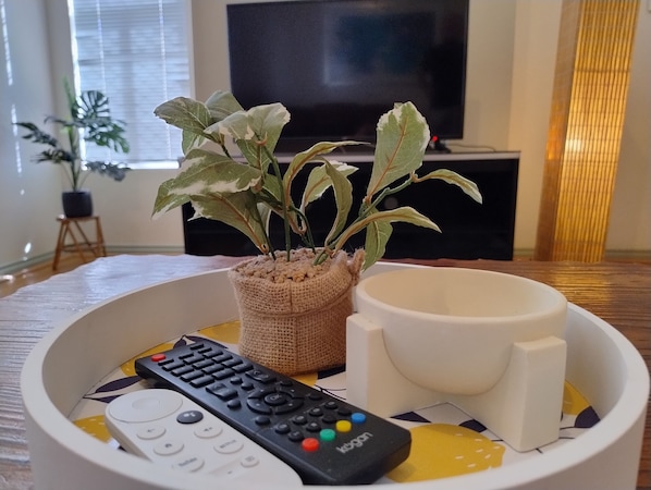 Fernseher