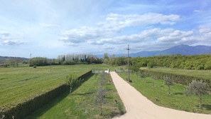 Himmel, Grün, Gras, Natürliche Landschaft, Einfach, Landschaft, Wiese, Grundstueck, Ländliches Gebiet, Landwirtschaft