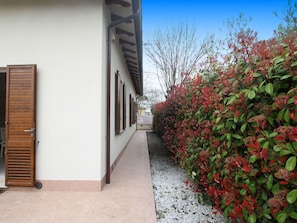 Strauch, Garten, Home Fechten, Walkway, Zaun, Landscaping, Garten, Hecke, Schatten, Auffahrt