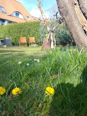 Boendeområde