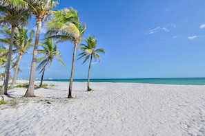 Short Walk to the Beach