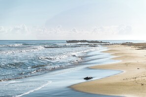 Utsikt mot havet/stranden