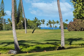 Golf Course and Ocean View