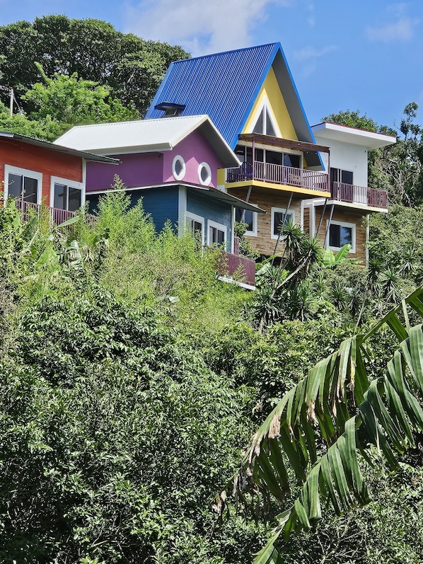 Jardin De Poas, the cabins