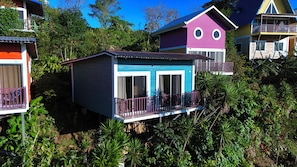 Cabin #4
Color was inspired by the blue whiskered Tanager bird.