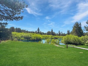 River View Spring 2025