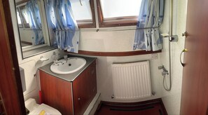Wetroom with shower fresh flush toilet and wash basin.