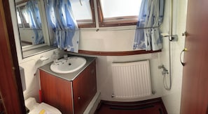 Wetroom with shower fresh flush toilet and wash basin.