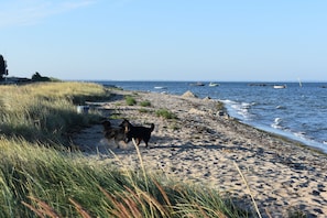 Spiaggia