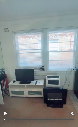Television