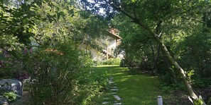 Blick in den Garten