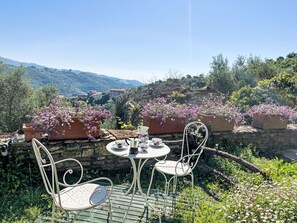 Blume, Möbel, Strauch, Tabelle, Gartenmöbel, Garten, Tisch Im Freien, Stuhl, Blumentopf