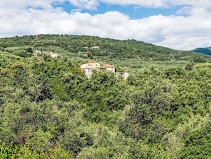 Nature, Natural Environment, Leaf, Vegetation, Natural Landscape, Hill, Ecoregion, Landscape, Plant Community, Forest