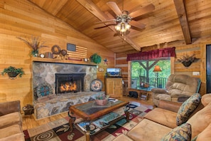 Living room and Fireplace