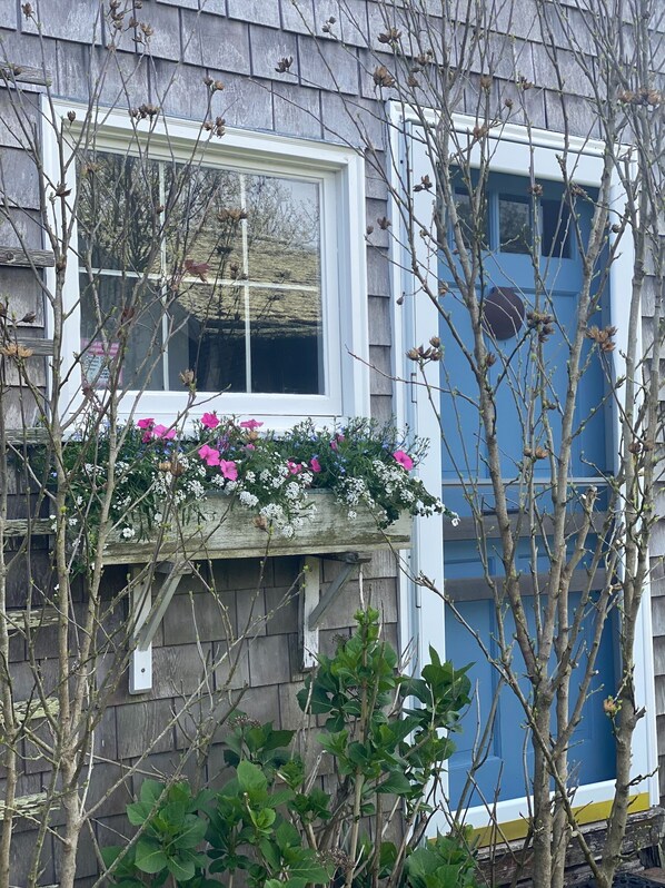 Exterior detail