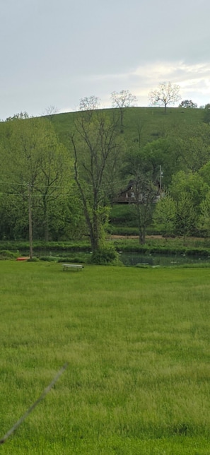 Cabin sitting in the rolling Ozark Hills overlooking the creek, pond and meadow