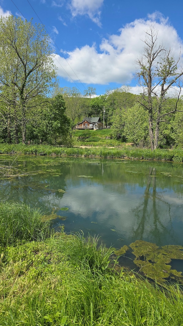 Cabin nestled in the Ozark hills overlooking the creek and pond