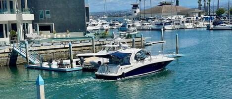 Marina
