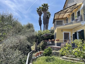 Plante, Bâtiment, Ciel, Nuage, Fenêtre, Maison, Arbre, Biome, Arecales, Zone Résidentielle