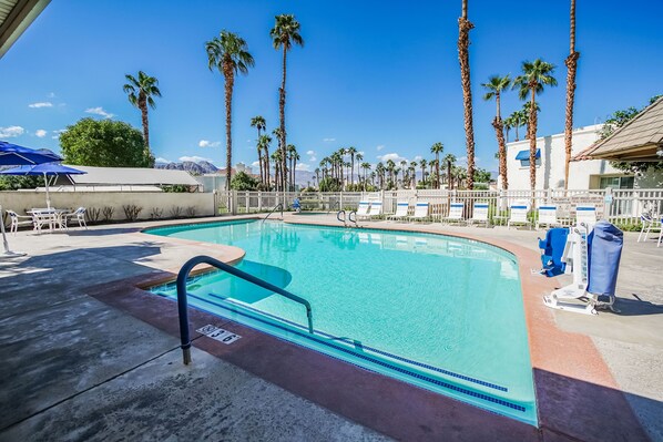 Heated outdoor pool with palm trees and desert backdrops—ideal for sun-soaked relaxation.