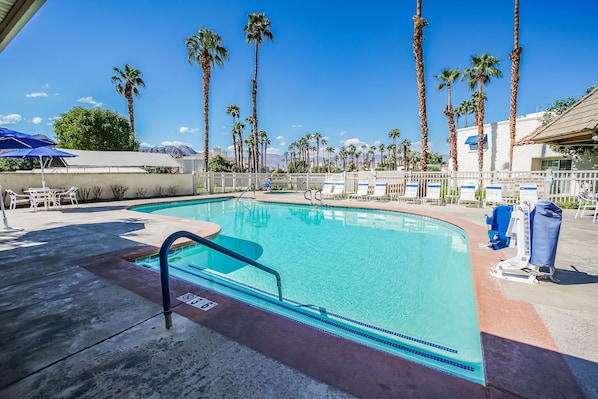 Heated outdoor pool with palm trees and desert backdrops—ideal for sun-soaked relaxation.