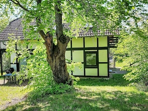 Ländliches Gebiet, Hütte, Garten, Frühling, Rasen, Gartenbauten, Hinterhof, Schatten, Wald, Garten
