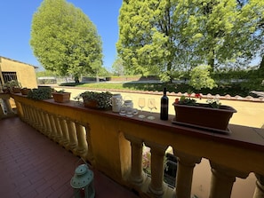 Garten, Landscaping, Blumentopf, Hazienda, Zimmerpflanze