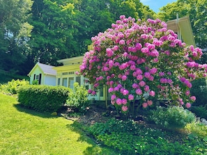 The garden has been created during the last 180 years.