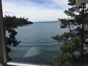 Vue depuis l’hébergement