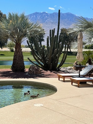 Peaceful and safe community fully gated