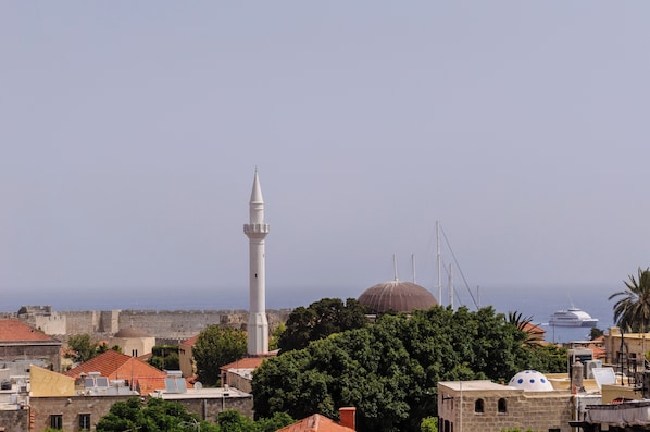 The view from our
100 M2 terrace and the tower room