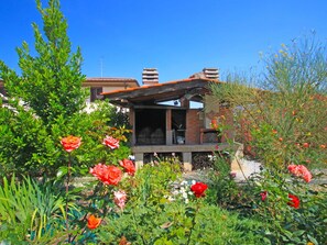 Flower, Shrub, Garden, Spring, Landscaping, Wildflower, Yard, Backyard