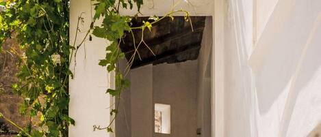 Wall, Stairs, Flowerpot, Houseplant, Handrail, Balcony