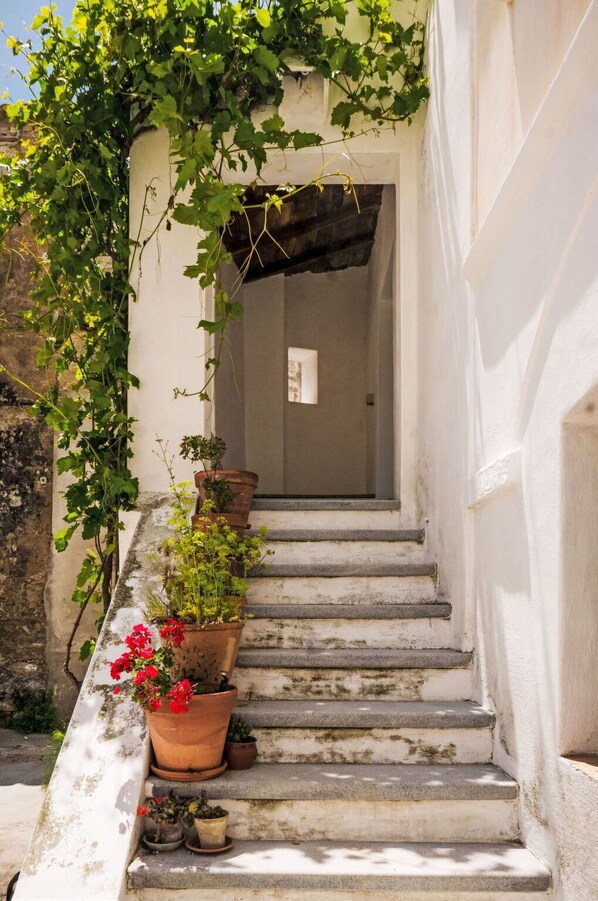 Mur, Escaliers, Pot De Fleur, Plante D'Appartement, Balustrade, Balcon