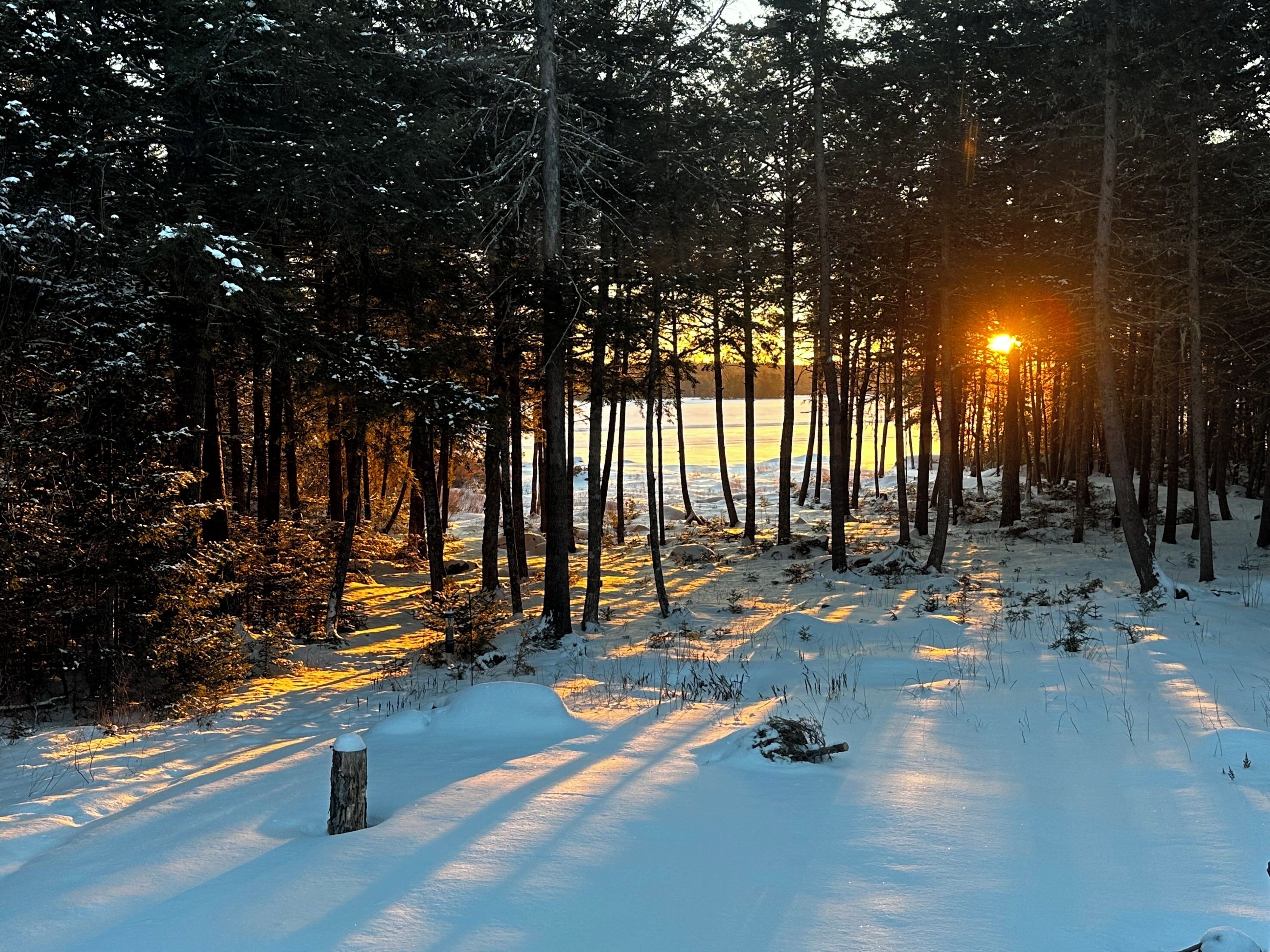 Wake up to this winter scene.