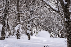 Sports d’hiver