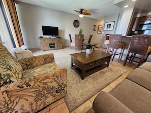 Living room area with portable AC and a pull-out sofa for extra guests.