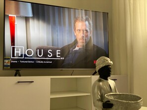 Television