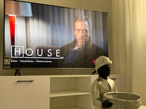 Television